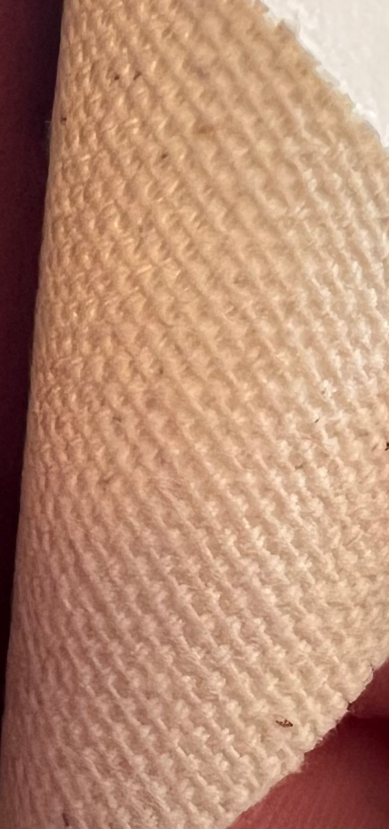 Large format original Resche's Pilsner Lithograph 1950s Linen backed