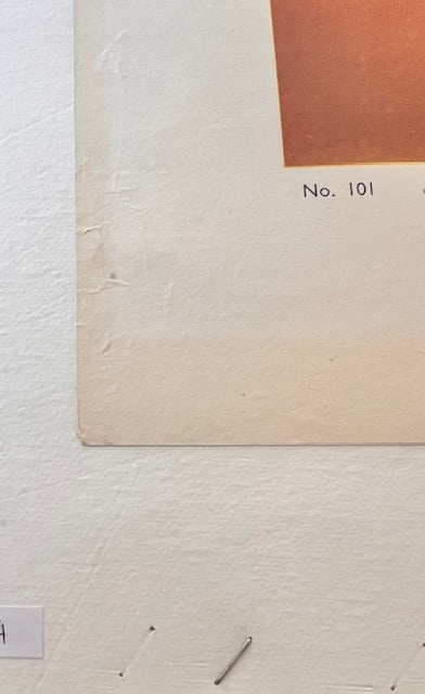 James Northfield — Canberra, Australian Capital Territory.  Large Format, Linen backed