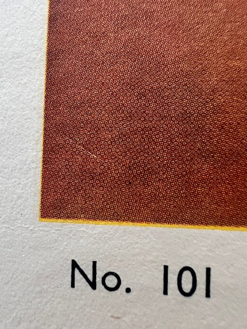 James Northfield — Canberra, Australian Capital Territory.  Large Format, Linen backed