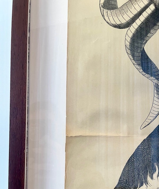 Heute Bock (c.1880s–1890s) — Original German Chromolithographic Advertising Poster